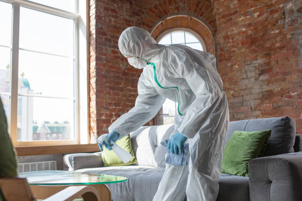 Mold Remediation for Vacation Homes in Dunstan, ME